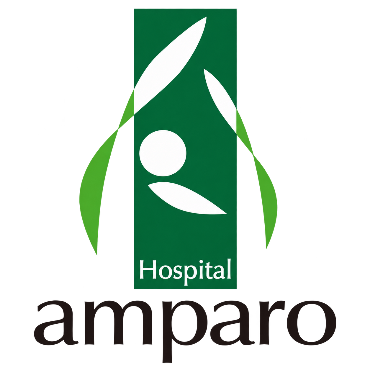Logomarca Hospital Amparo